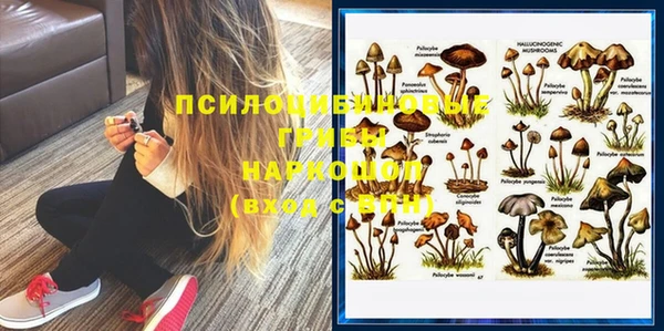 PSILOCYBIN Алзамай