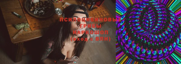 PSILOCYBIN Алзамай