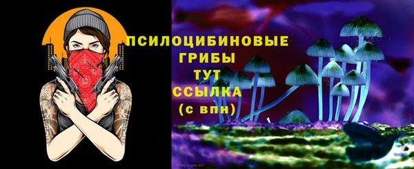 гашик Абинск